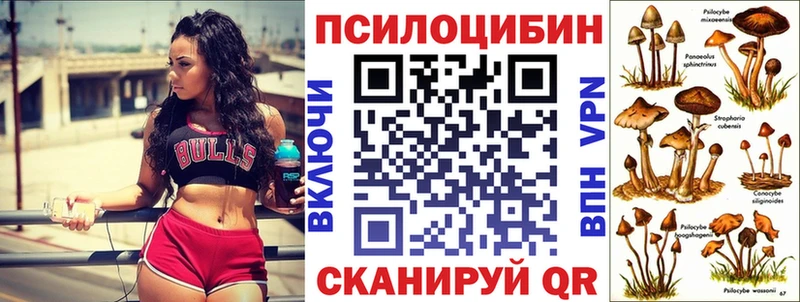 Псилоцибиновые грибы Cubensis Армавир