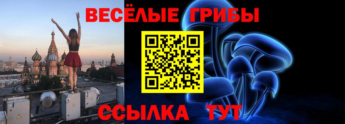 Псилоцибиновые грибы MAGIC MUSHROOMS  Вход с VPN  Армавир 